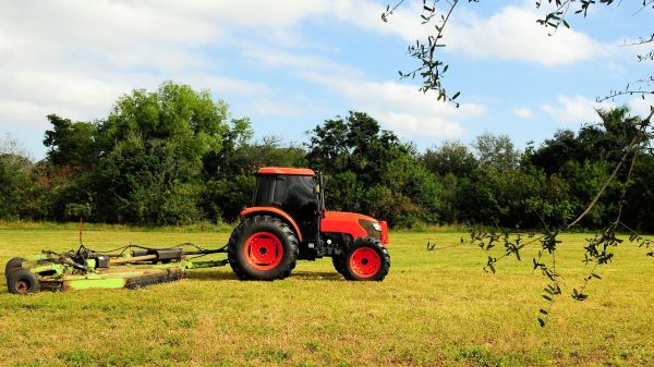 Everett Bush Hogging